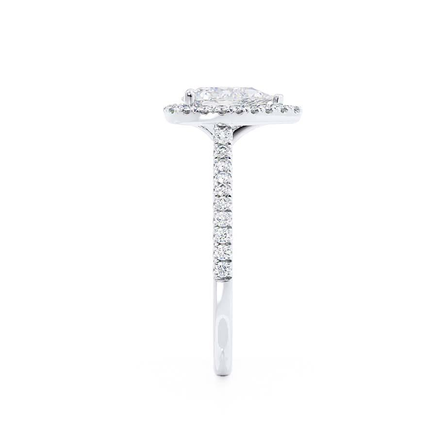LAW362